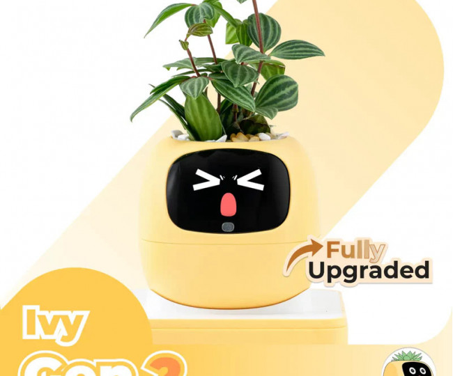 Розумний горщик для рослин з екраном та сенсорами Plantsio Ivy Gen 2